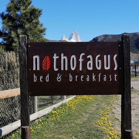 Nothofagus Bed & Breakfast El Chalten Ngoại thất bức ảnh